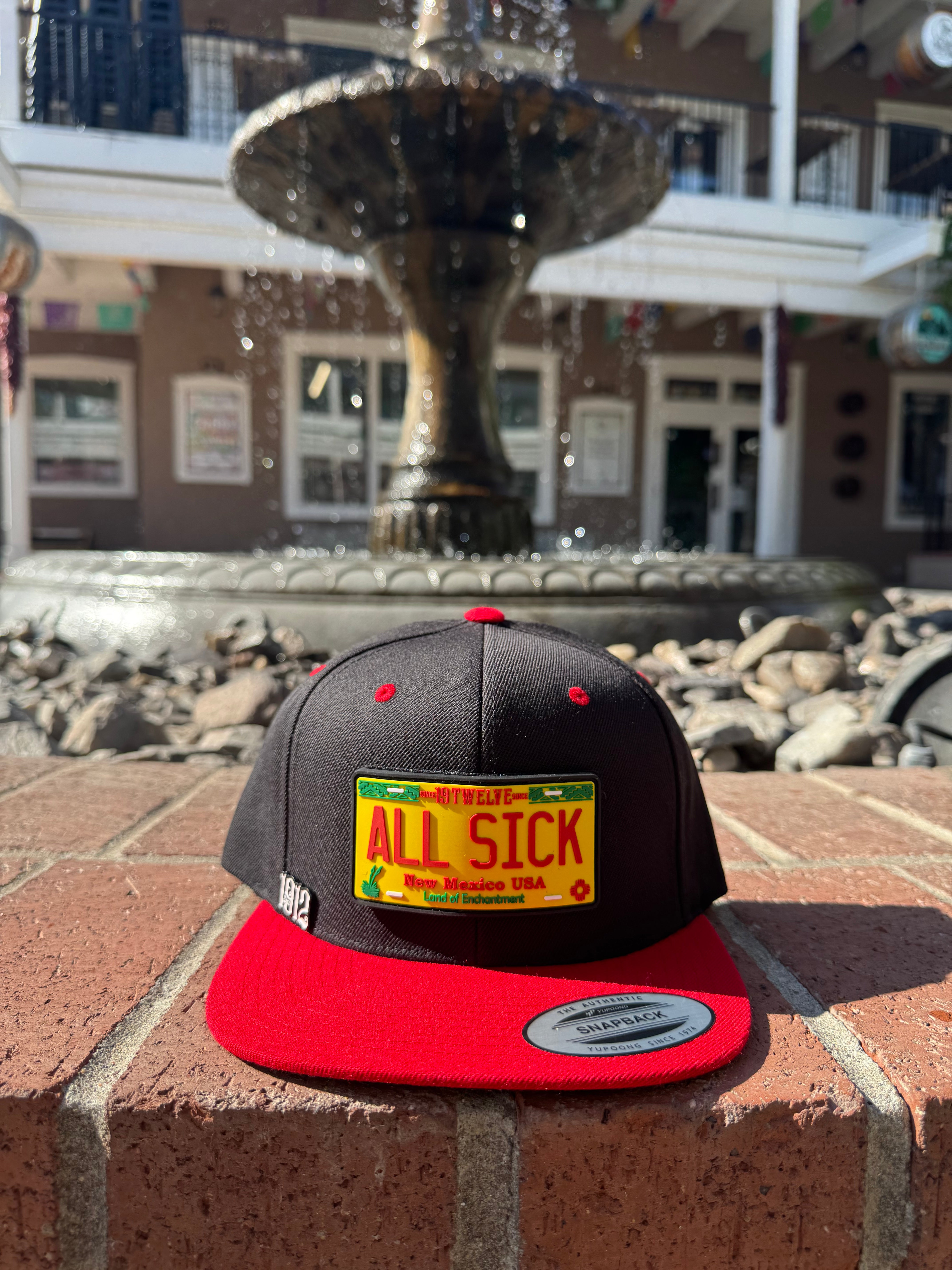 Allsick Velcro Removable License Plate Snapback