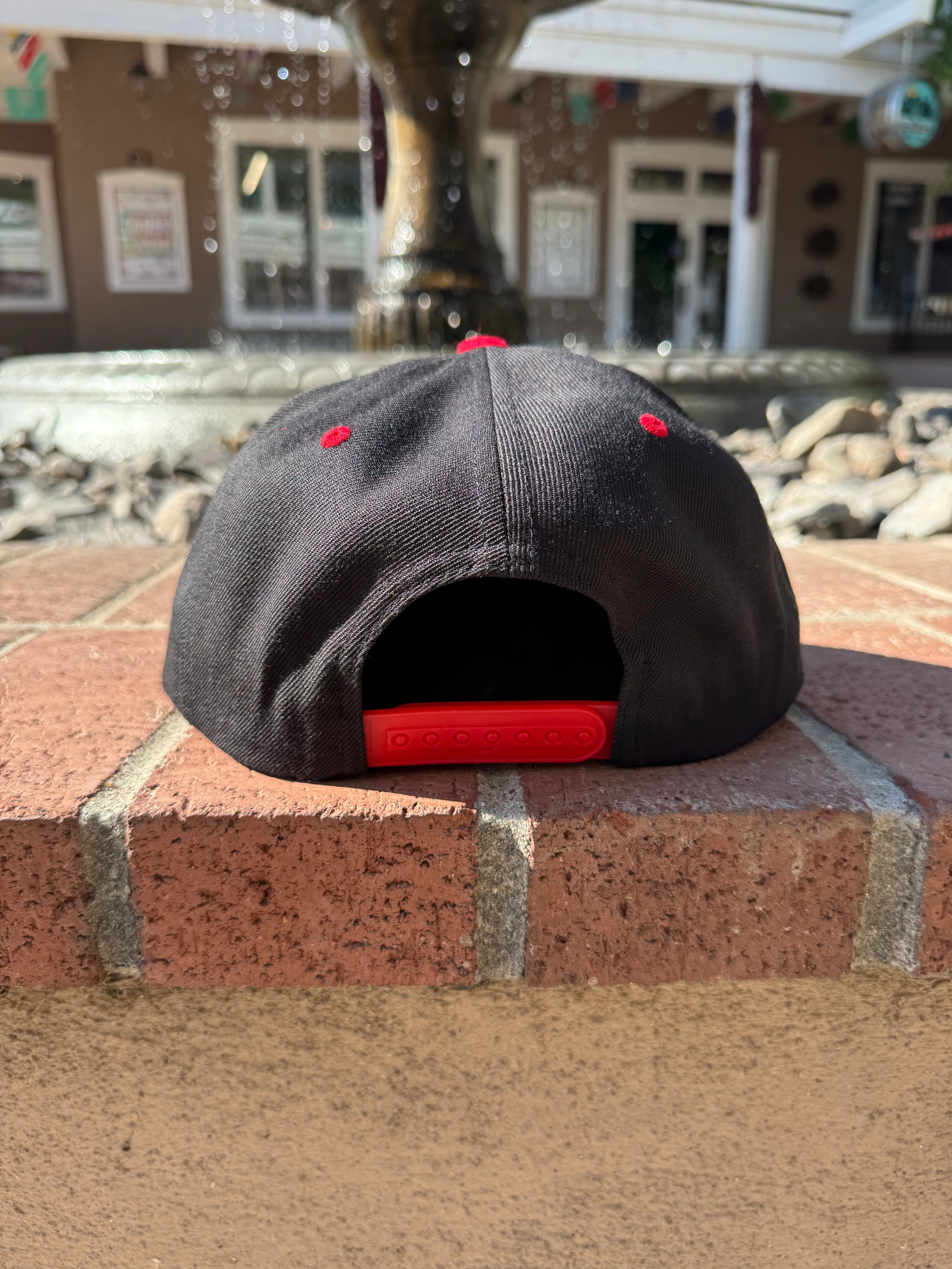 Allsick Velcro Removable License Plate Snapback