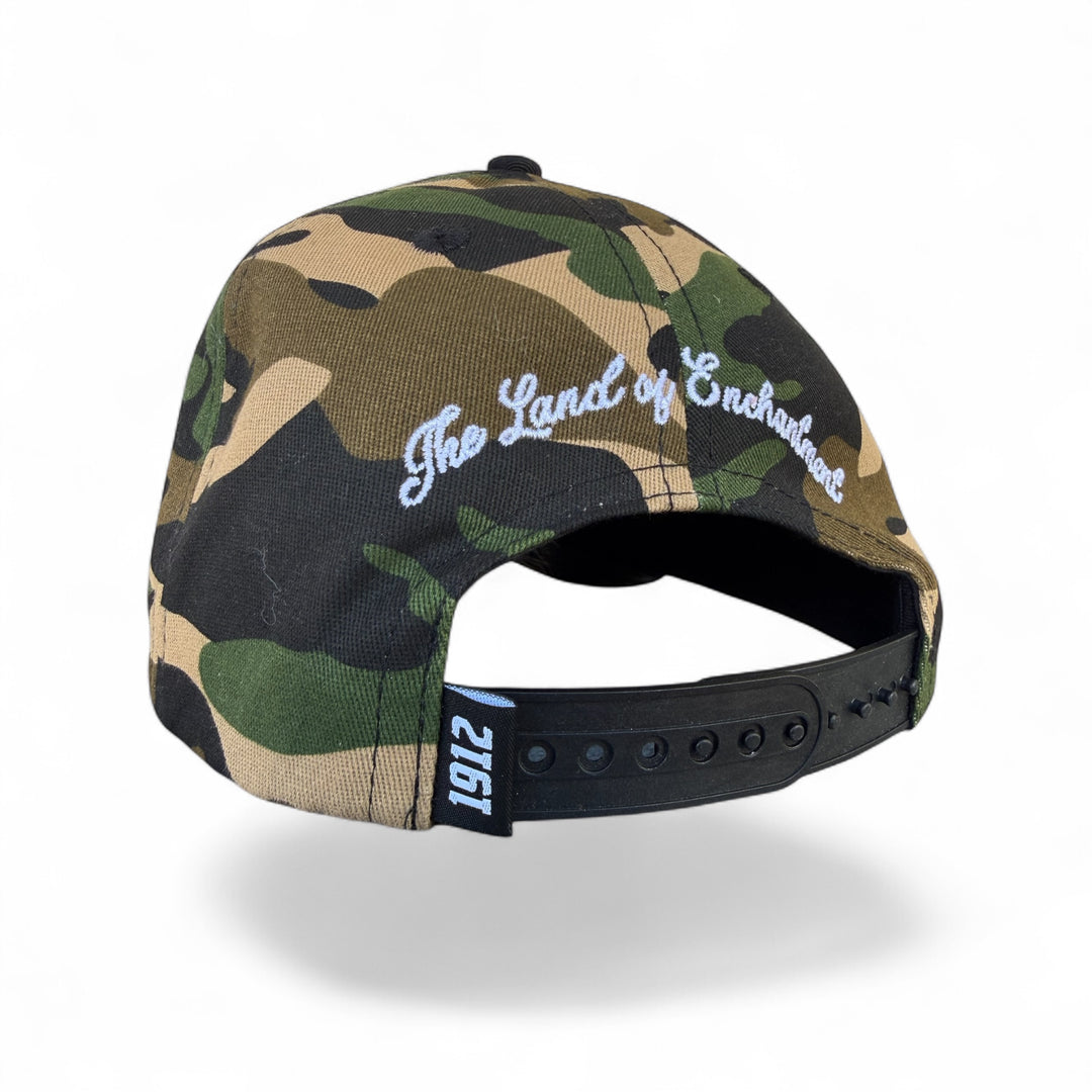 UPside DowNM Snapback
